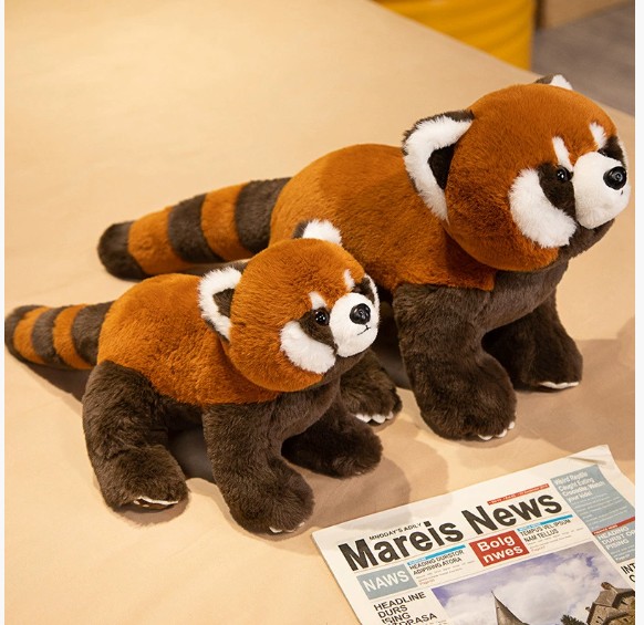 Gấu trúc đỏ siêu thực dễ thương